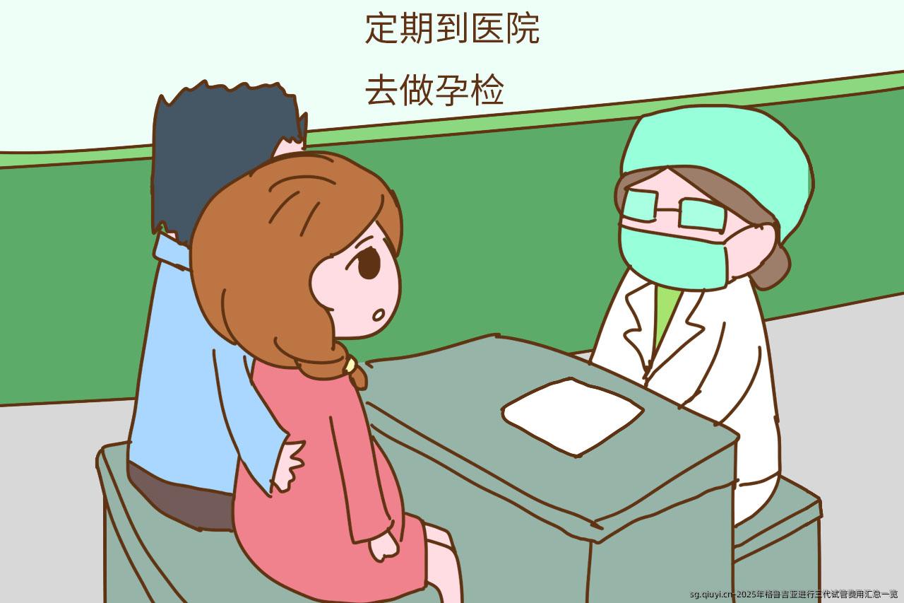 2025年格鲁吉亚进行三代试管费用汇总一览