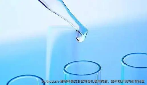 理解格鲁吉亚试管婴儿费用构成：如何规划您的生育预算