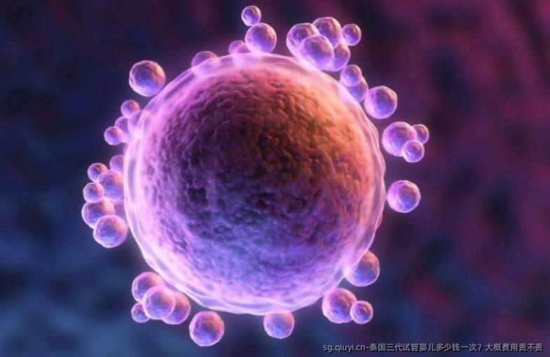 泰国三代试管婴儿多少钱一次？大概费用贵不贵