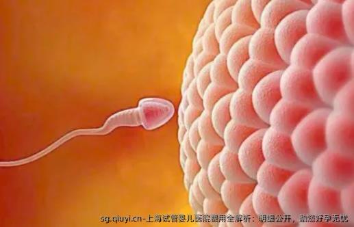 上海试管婴儿医院费用全解析：明细公开，助您好孕无忧