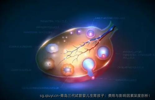 青岛三代试管婴儿生育孩子：费用与影响因素深度剖析！