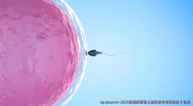 2025泰国试管婴儿医院成功率排名前十名单