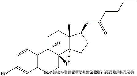 美国试管婴儿怎么收费？2025费用标准公开