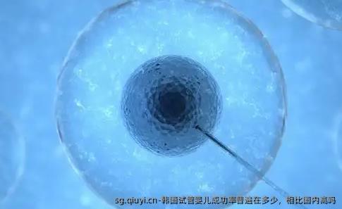 韩国试管婴儿成功率普遍在多少，相比国内高吗