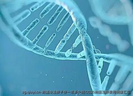 韩国冷雪藏卵子存一年多少钱?2025韩国雪藏卵费用明细汇总
