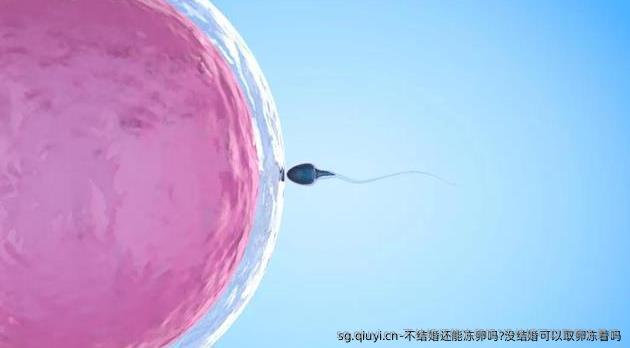 不结婚还能雪藏卵吗?没结婚可以卵泡取出冻着吗
