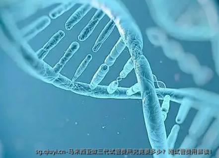 马来西亚做三代试管费用究竟要多少？附试管费用解读！