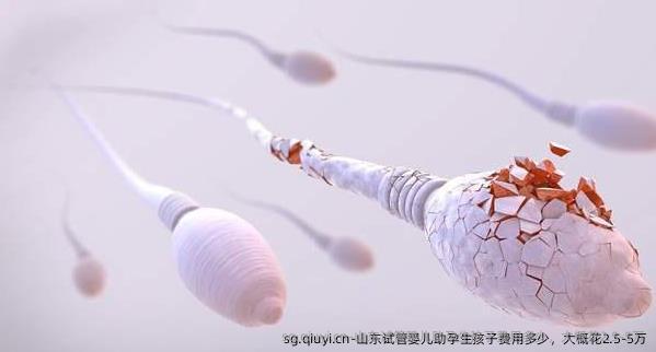 山东试管婴儿助孕生孩子费用多少，大概花2.5-5万