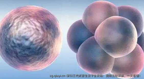 深圳三代试管生孩子全攻略：费用流程详解，一文看懂！