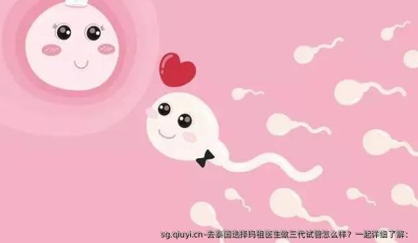 去泰国选择玛祖医生做三代试管怎么样？一起详细了解：