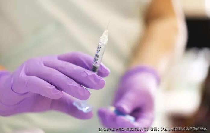 柬埔寨试管婴儿费用详解：从初步咨询到成功怀孕的成本