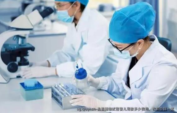 去美国做试管婴儿需要多少费用，收费价目一览