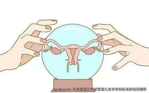 马来西亚三代试管婴儿成功率排名高的医院推荐
