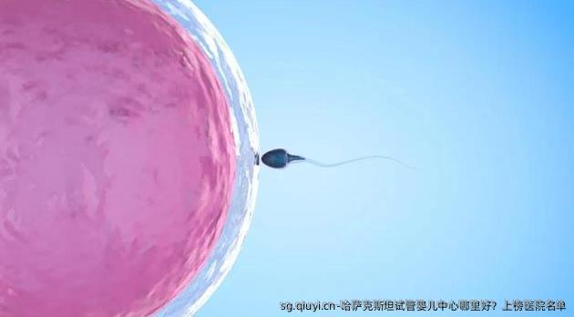 哈萨克斯坦试管婴儿中心哪里好？上榜医院名单