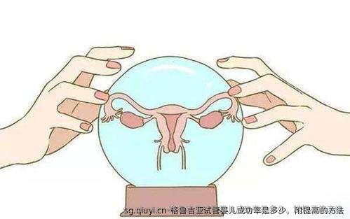 格鲁吉亚试管婴儿成功率是多少，附提高的方法