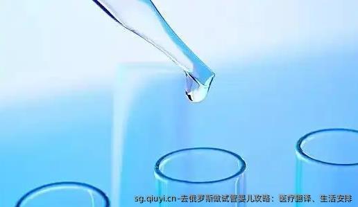 去俄罗斯做试管婴儿攻略：医疗翻译、生活安排