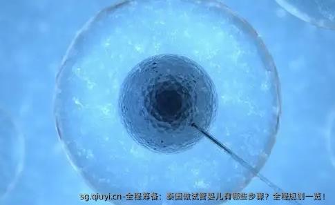 全程筹备：泰国做试管婴儿有哪些步骤？全程规划一览！