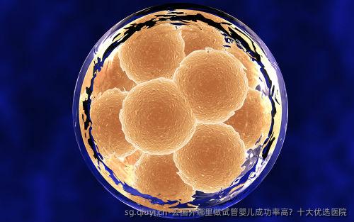 去国外哪里做试管婴儿成功率高？十大优选医院