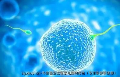 马来西亚试管婴儿医院排名（专注输卵管堵塞）