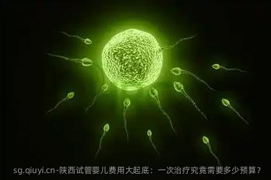 陕西试管婴儿费用大起底：一次治疗究竟需要多少预算？