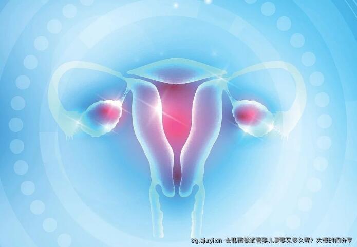 去韩国做试管婴儿需要呆多久呢？大概时间分享