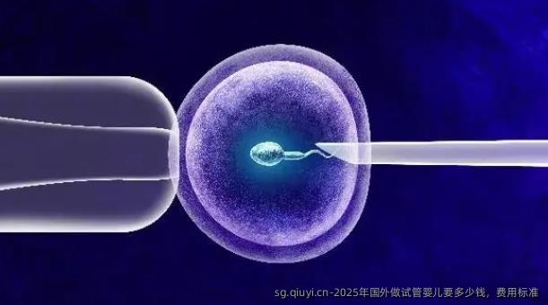 2025年国外做试管婴儿要多少钱，费用标准