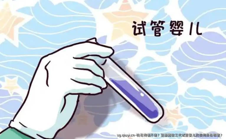 钱花得值不值？到泰国做三代试管婴儿的费用贵在哪里？