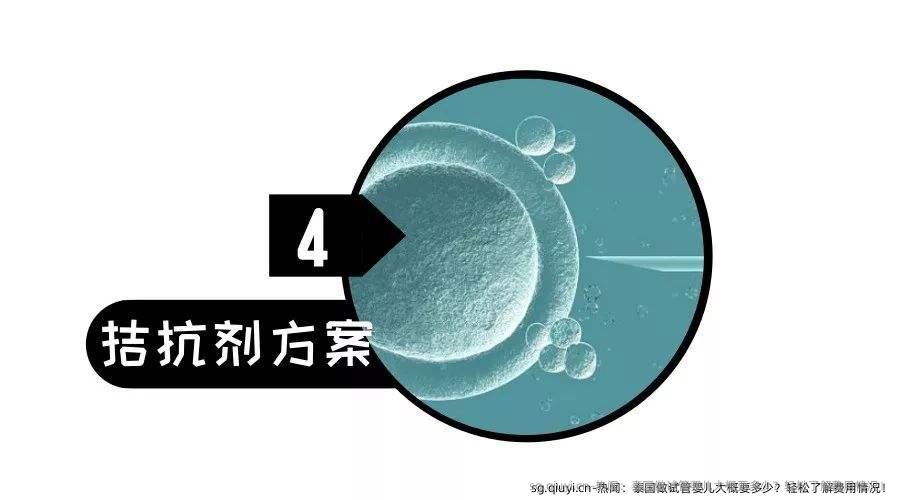 热闻：泰国做试管婴儿大概要多少？轻松了解费用情况！