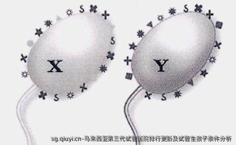 马来西亚第三代试管医院排行更新及试管生孩子条件分析