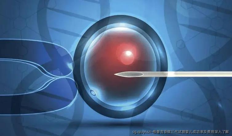 格鲁吉亚做三代试管婴儿成功率及费用深入了解
