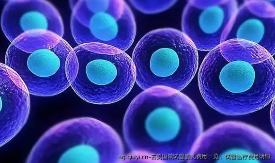 去美国做试管婴儿费用一览，试管医疗费用明细
