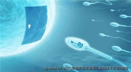 2025年俄罗斯试管婴儿医院技术先进0推荐