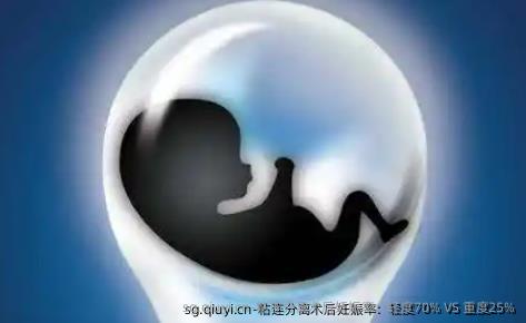 粘连分离术后妊娠率：轻度70% VS 重度25%
