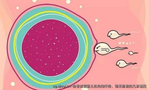 香港试管婴儿机构排行榜，揭示靠谱的几家医院