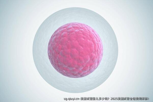 美国试管婴儿多少钱？2025美国试管全程费用详解！