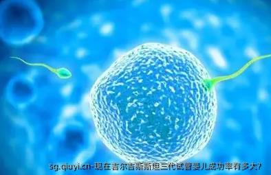 现在吉尔吉斯斯坦三代试管婴儿成功率有多大？