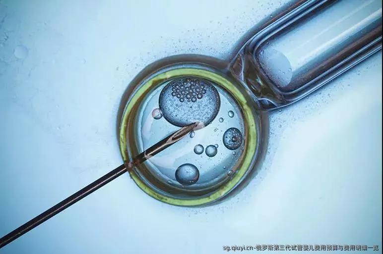 俄罗斯第三代试管婴儿费用预算与费用明细一览