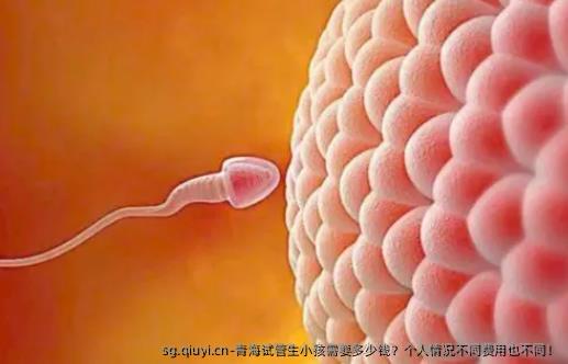 青海试管生小孩需要多少钱？个人情况不同费用也不同！