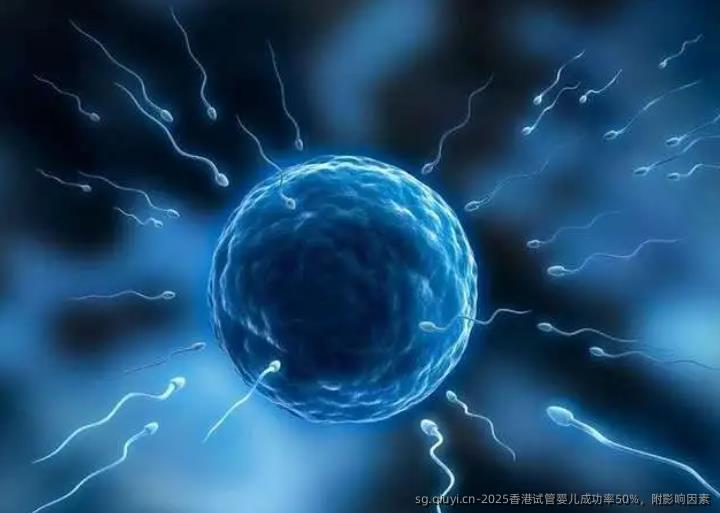 2025香港试管婴儿成功率50%，附影响因素