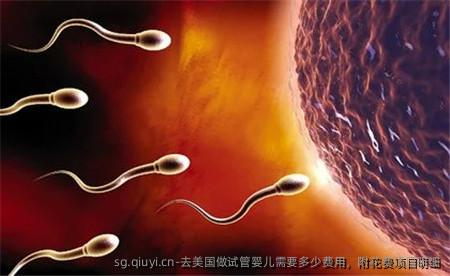 去美国做试管婴儿需要多少费用，附花费项目明细