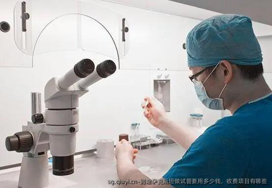 到哈萨克斯坦做试管要用多少钱，收费项目有哪些