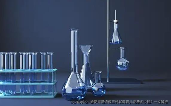 哈萨克斯坦做三代试管婴儿花费多少钱？一文解析
