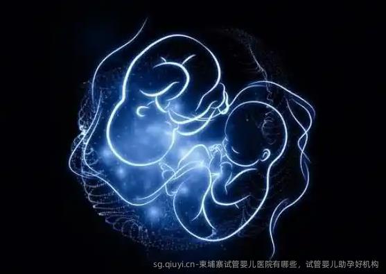柬埔寨试管婴儿医院有哪些，试管婴儿助孕好机构