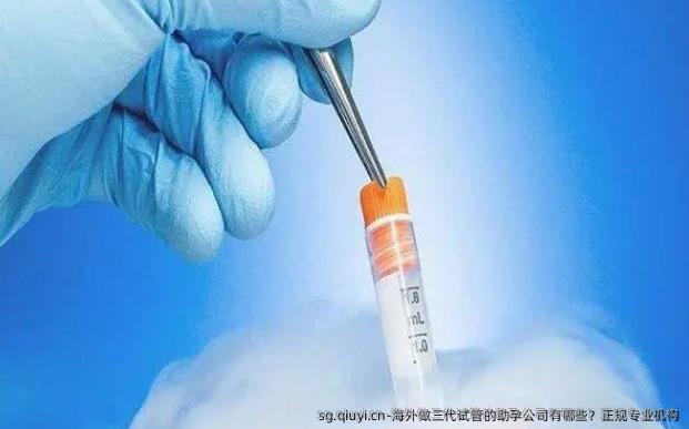 海外做三代试管的助孕公司有哪些？正规专业机构