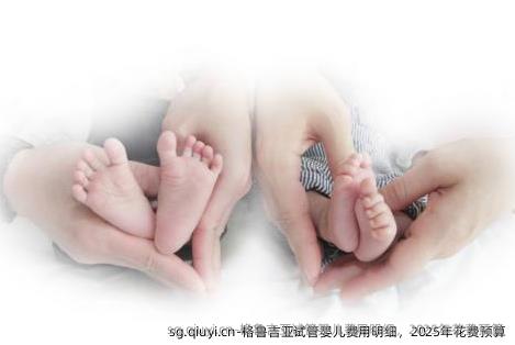 格鲁吉亚试管婴儿费用明细，2025年花费预算