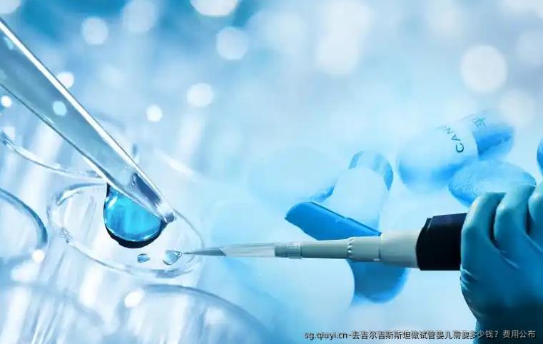 去吉尔吉斯斯坦做试管婴儿需要多少钱？费用公布