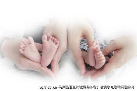 马来西亚三代试管多少钱？试管婴儿费用预算解读