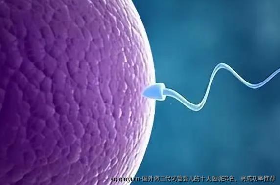 国外做三代试管婴儿的十大医院排名，高成功率推荐