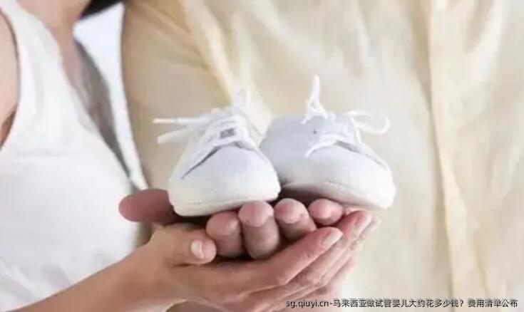 马来西亚做试管婴儿大约花多少钱？费用清单公布