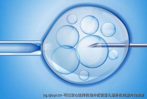 可以放心选择的海外试管婴儿服务机构国内有哪些